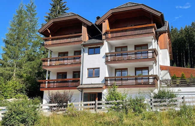 Apartment With Carinthian Mountain View - Photo 1