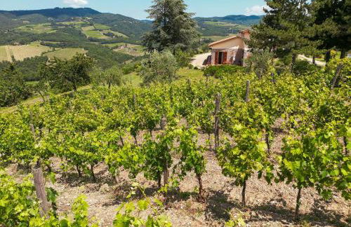 Tenuta il Poggetto - Foto 14