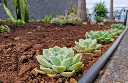 Casa Clementine by LovelyStay - Foto 39