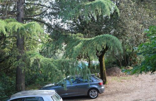 Villa Giulia - Foto 21