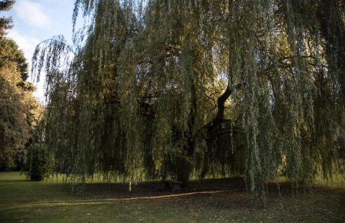 Flurry's Lodge - Foto 64