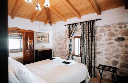 Olive Roots - Foto 78