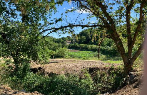 Quinta de Santa Ana, em Vizela - Foto 70