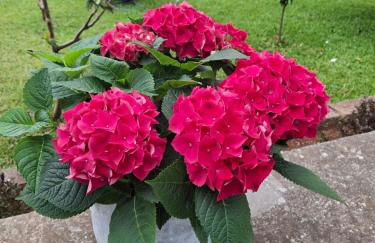 The Blue Cottage - Foto 80