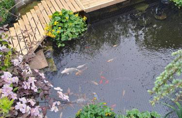 Pond View - Cottage with beautiful views - Dogs welcome by request - Foto 14