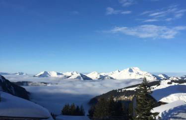 Avoriaz le M1212 - Photo 38
