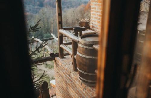 Holiday Home Wine & Relax Sveti Martin na Muri - Foto 30