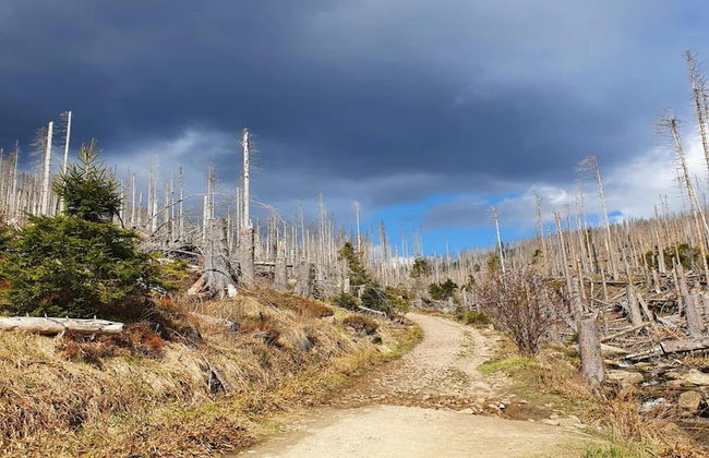 Ferienhaus in Schierke for 8 Personen - Photo 37
