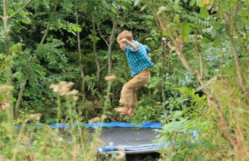 Rhydyfantwn Fach Cottage, Cardigan - Foto 19