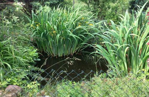 Jeziorskie Zacisze & balia - Foto 18