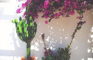 Casa Marlene - Foto 32