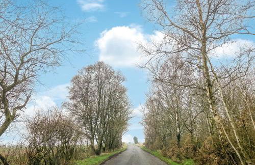 The Garden Pod - Photo 19