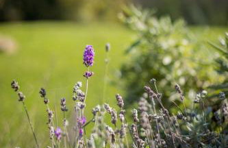 Green Hills Cottage with Pool & Magnificent View - Foto 48