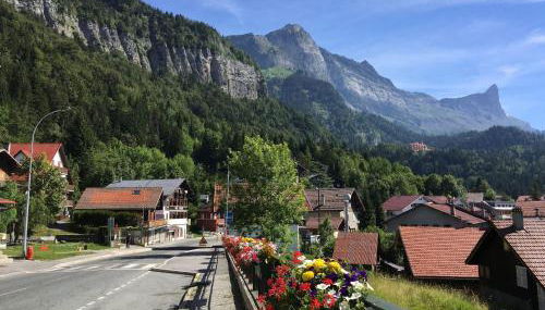 Fizhome Mt Blanc - Photo 5