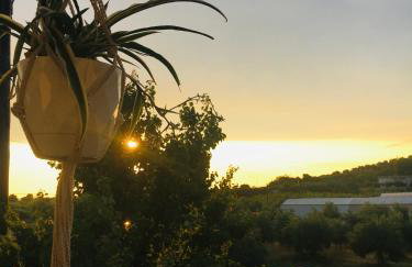 Evilion house inTholo. Sea, nature, relaxation! - Foto 37