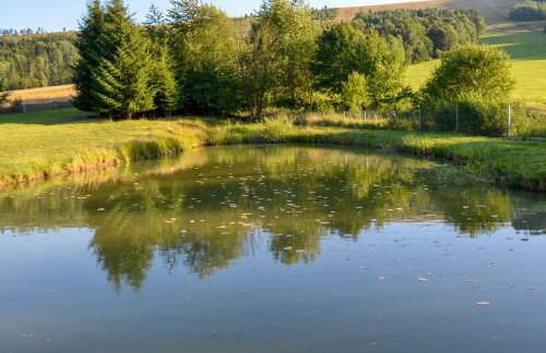 Domki - Noclegi Pod Ostrym Działem - Foto 29