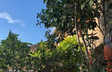 Fontaine-de-Vaucluse : maison avec vues - Foto 6