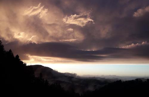 Christianshof - Photo 41