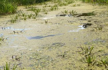 Komfortowy apartament nad Zalewem Sulejowskim - Foto 37