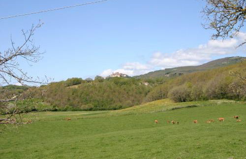 Il Poggiolo - Foto 21