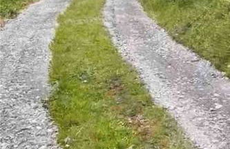 Adorable Victorian 1 bedroom annexe - Photo 25