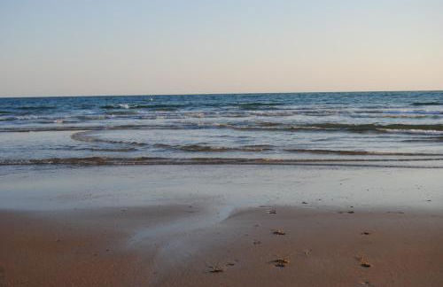 La Carrajolilla - Foto 14