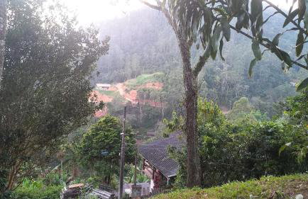 SÍTIO ALTO DA COLINA - Foto 5