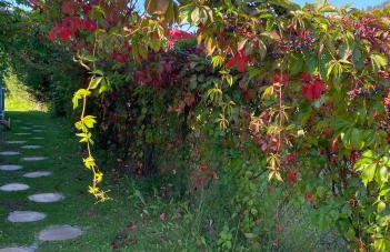 Apartament Pod Zamczyskiem - Photo 29