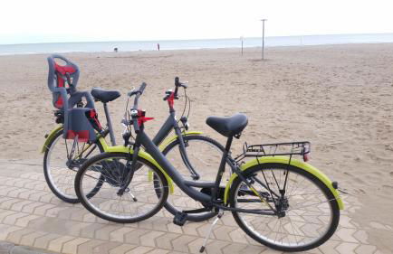 Bettina's wonderful flat - Foto 32