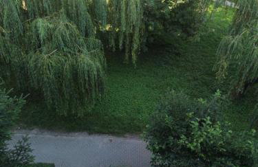 APARTAMENT MAGNOLIA - Foto 37