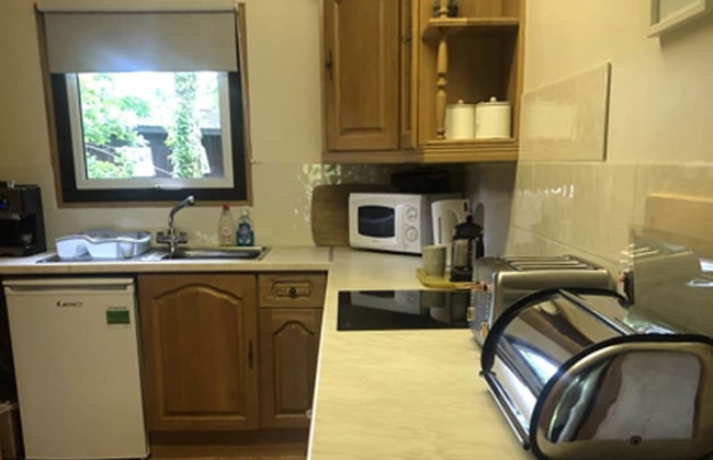 Nuthatch Lodge is set in 24 Acres of Wood, Parkland Near the Village of Cenarth - Photo 13