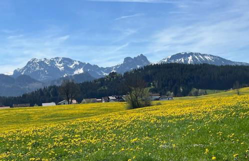 Zum Brentenjoch - Foto 23
