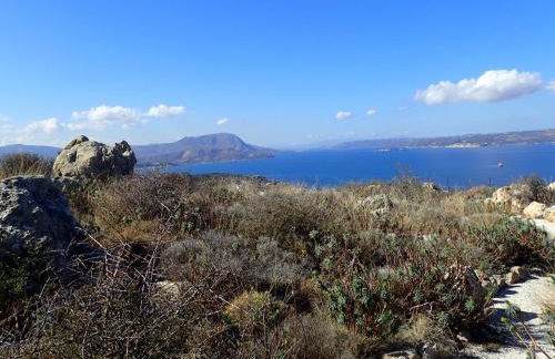 MOKKINO garden level private pool outdoor kitchen - Photo 16