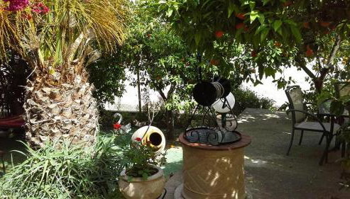 Villa Manolis - Photo 4, Garden