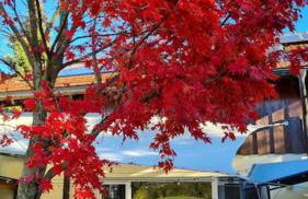Ferienwohnung mit Garten und Bergblick - Foto 9