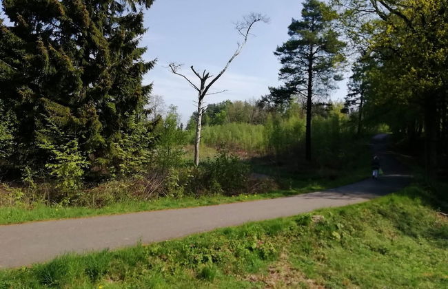 Seaside Idyll in Svaneke - By Traum Ferienwohnungen - Foto 7