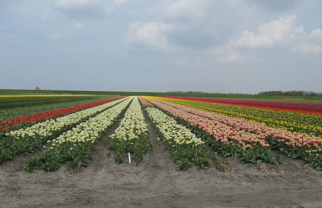 Inviting Farmhouse in 't Zand near Marine Museum - Foto 31