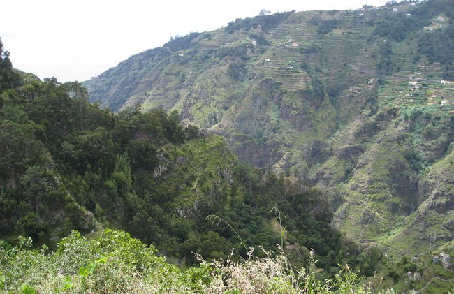 Experiencia a pie en el valle de la Serra D'Água - Foto 3