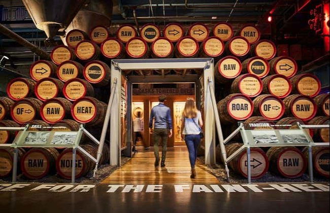 Guinness Storehouse + Dublin Sightseeing Bus - Photo 5