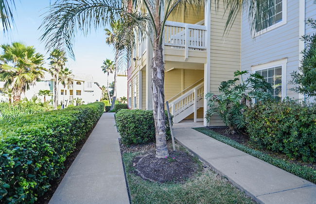 Absolute Paradise-dawn 1031 - Photo 6