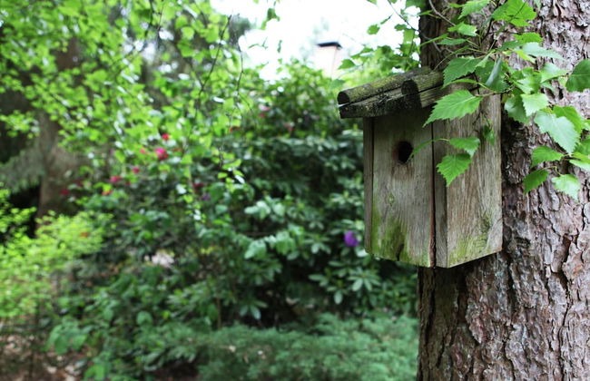 Quaint Villa in Doornspijk With Swimming Pool - Photo 73