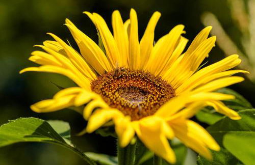 Casa Ponte da Vessada - Foto 42