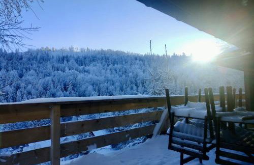 Chata w Szczyrku sauna & balia - Foto 9