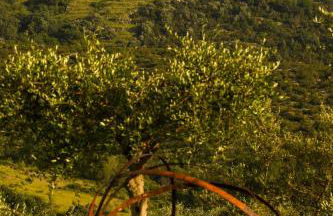 L' Aia Resort - Photo 79