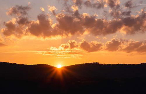 Ferienwohnung Weitblick im Dahner Felsenland - Foto 35