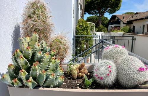 CV002 - Cervia, nuovo bilocale con ampia terrazza e posto auto - Foto 28