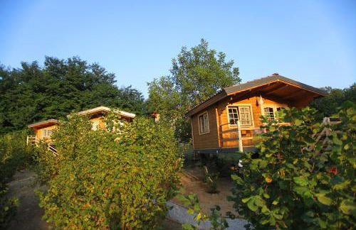 Ecolodge Langhe - Foto 15