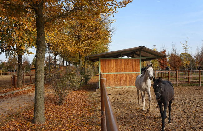 Agriturismo Corte Benetti - Foto 54