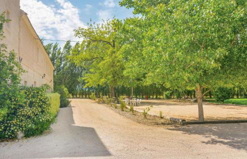 Les Piboules - Foto 12