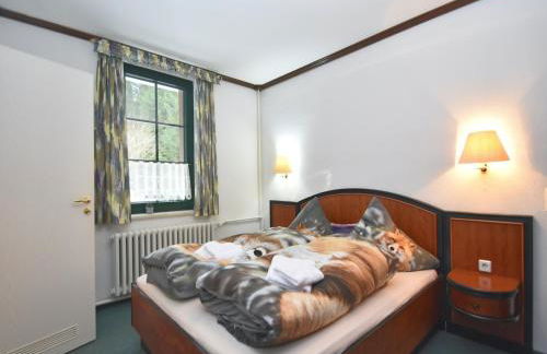 Luxurious Apartment in Jägersgrün with Saunas - Foto 45